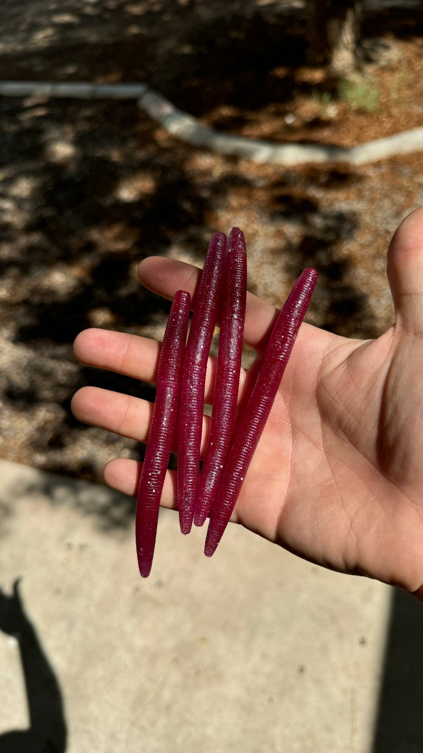 Gusano Stickbait Tipo Senko 5” (10pz)